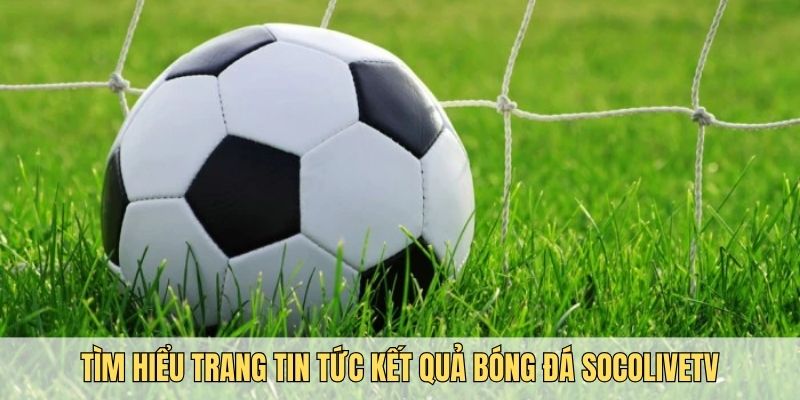 Đặc điểm giúp người dùng yêu thích